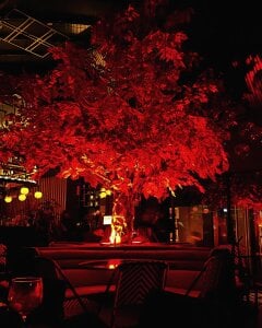 nate_rott Date night зображення