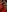 strawberry_muffinWitch! NO MASK PHOTOS照片 8