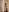 EvaTyrell Red Bodysuit — My Invitation to Your Fantasies Fotografie 6