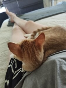 AussieKittyPurr Public Pic 5