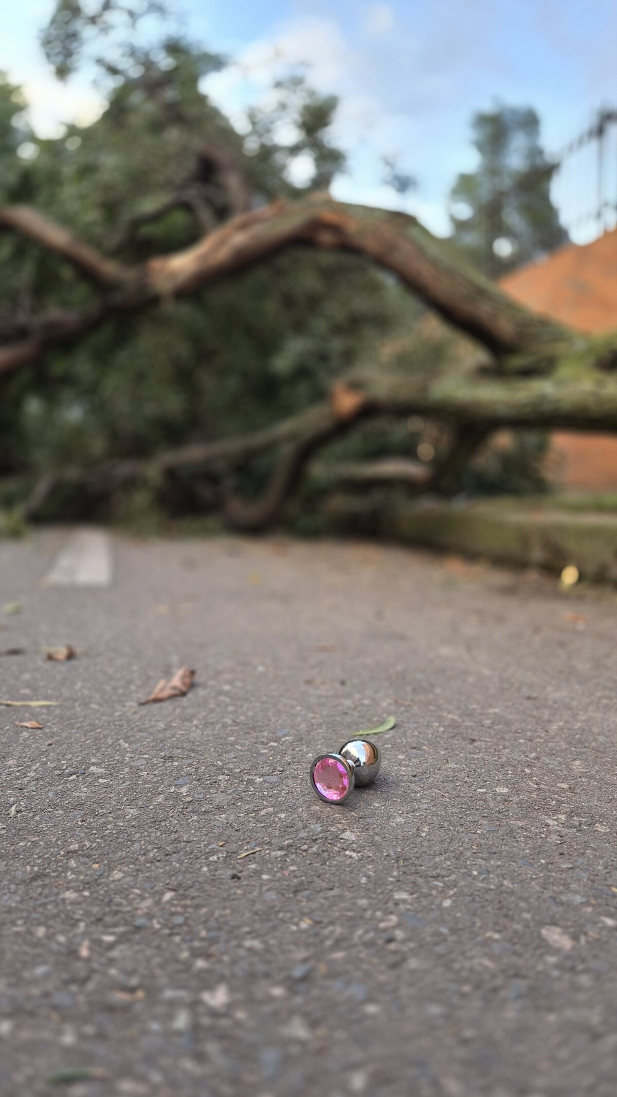 Sam_Sara Právě oblíbené foto 9958