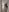 Naty_Santos Naked in the Mirror Pic 7