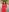 EvaZane Lady in red 🍓 Pic 9