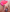 _Bella_Candy_ Brincadeira de leve Photo 4