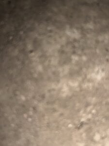 Albino1122 Public Foto 6