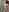 Fortune_888 In shower Photo 7