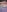xlalitaxxxのMe levanto la pollerita 🤭💕 (NSFW)の 3枚の写真