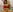 vanessabrown_ Body paint day Pic 4