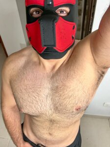 Matt_Evans Welcome зображення