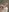 MartycaBee Are you curious ? 👀 Pic 6