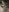 Alyssa_rhoades Make you cum bundle Photo 6