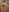 Antonellaparis_ Latina erotica touching herself in the shower 🔥👌 Photo 8