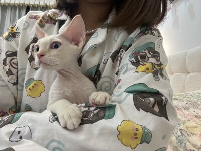 -sanhuamao- 家庭成员 사진 5