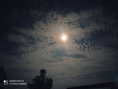 monti99mp My life зображення