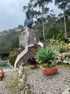Gretten_wright Walking through the countryside and learning more about coffee🌦️ Poză 3