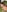 Samantha_official Blasehase aus dem Wald hat das Gesicht voller Sperma 💦 Foto 7