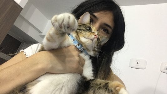 catsara My pets, I love animals I want to share them with u Pic 2