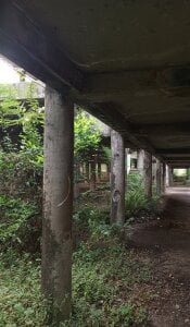 -Marceline- Public Pic 9