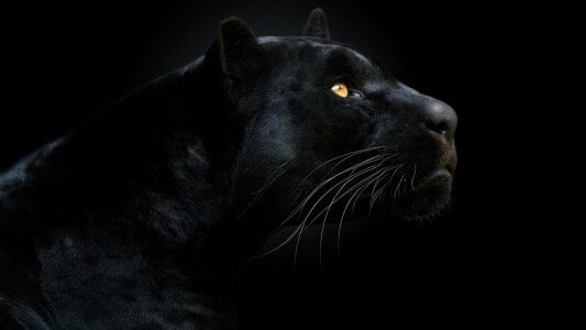 Jessy_Smith23 New Foto