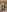Mia_DixonsFor you照片 3