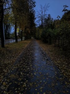 MinaMancilla Beautiful autumn Pic 3