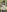 IconaDidiFit Tease in Nature照片 5
