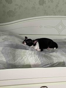 HaleySun Charlie Pic 2