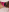 pinkrosaaa pink thong and even pinker p*ssy 사진 3