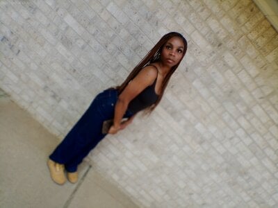 shegetthabag Public Bilde 2