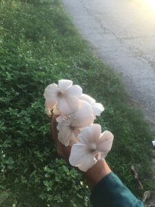 hihi-xxのPublicの 5枚の写真