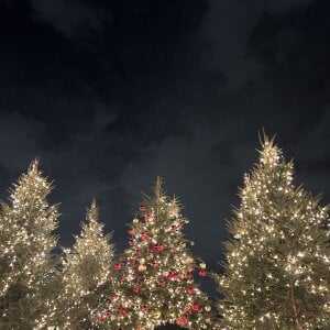 hina-Gcup クリスマス⛄️🎁 Pic 2