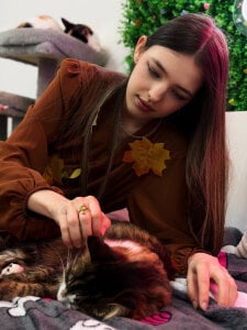 LiliBakery meow meow 🐈 Pic 5