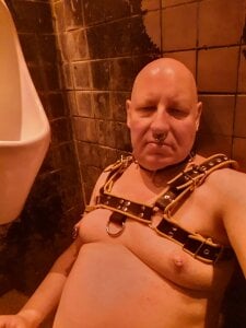 CgnWolf Public  2. fénykép