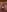 Goldensexetary69 Fan club Pic 3
