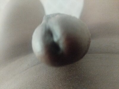 TheeblackDivckgiver: Public ( 2 фото)