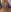 Damian_hart_24CM big cock Pic 4