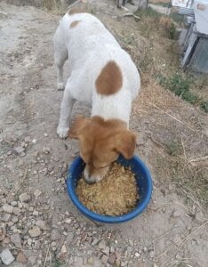 Boonny_boo_ Actions speak louder than good intentions. Pic 6