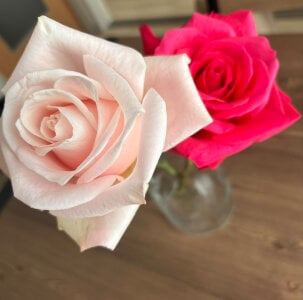 Fuka_0012 Public . fénykép