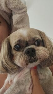 SophiaPotts Part of me صورة واحدة|SophiaPotts Part of me صورتان|SophiaPotts Part of me  صور|SophiaPotts Part of me  صورة