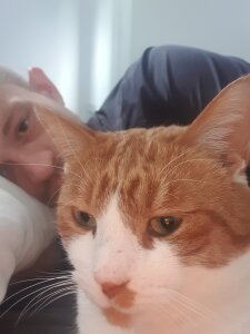 BWC13371 BWC1337 Bilde 2