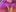 vixendoll87: Wanna taste? ( 2 фото)