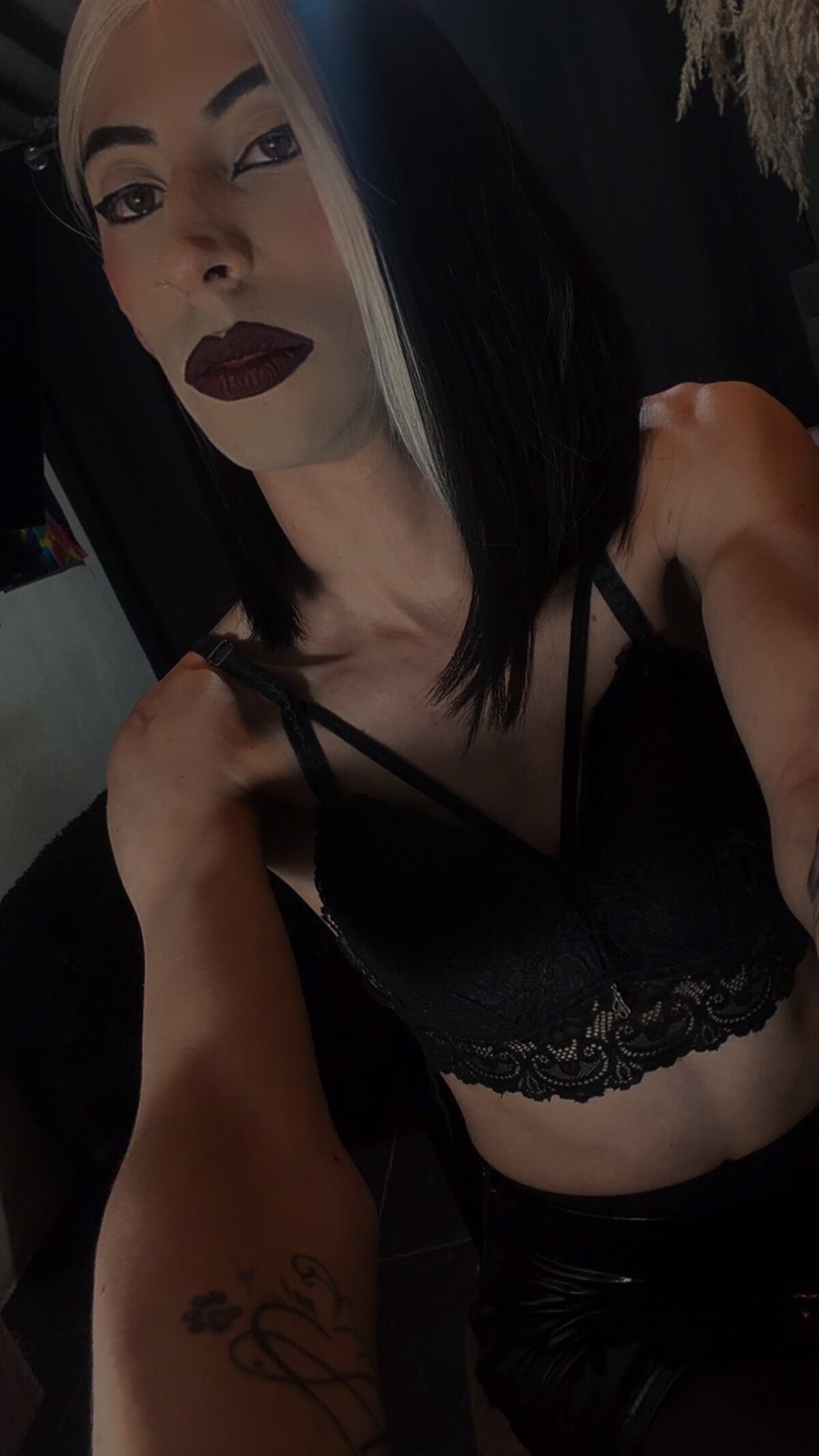 DOMINANT_TEACHER_KAROL  5441. kiemelt képe