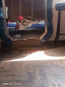 Public de Scorpion_22cm Foto