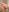 _MaryGirl_ Naked body with yummy holes Pic