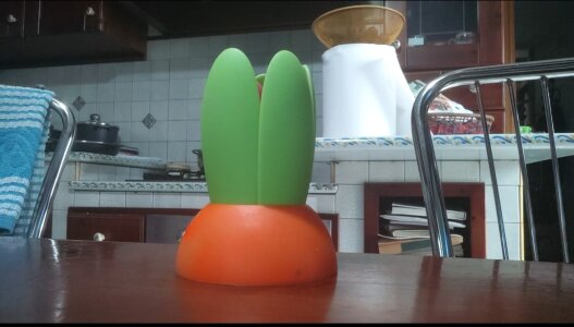 jhonschen's Cazzo in fiore Sex Photo 1