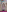 _Bella_Candy_ Pack 1 Photo 6