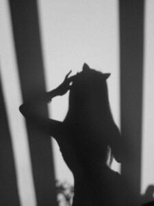 linxsqdPublic图片 4