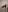 IrmaBellComfortable照片 9