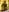May_FlowerTease图片 7