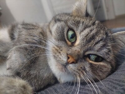 MelissaMays 😻😻😻😻😻😻😻😻 Immagine  2